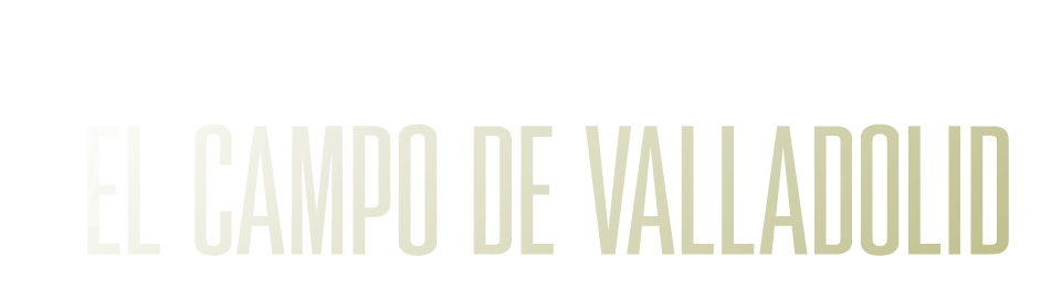 spot_img